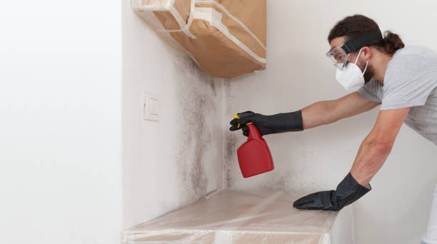 Professional Bathroom Mold Removal technician working in Deltaville, VA